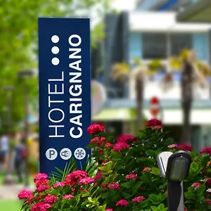 3* Отель Carignano